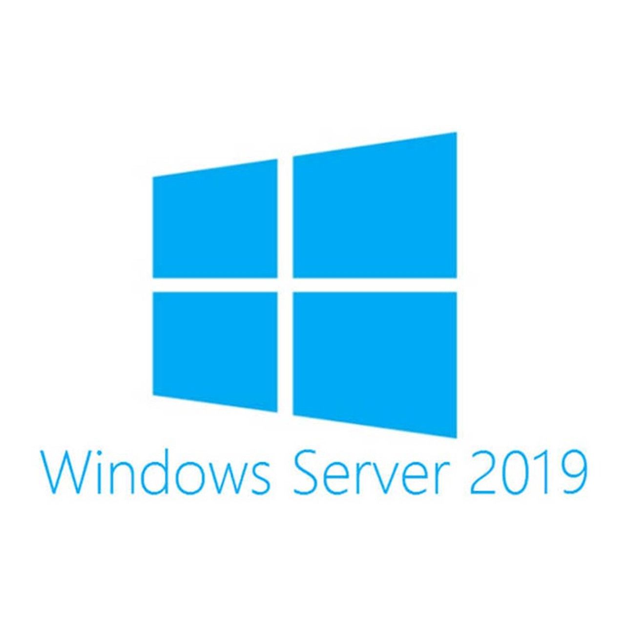 Windows Server CAL 2019 English 1pk DSP OEI 1 Clt Device CAL_1