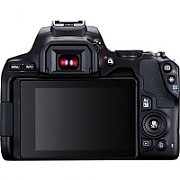 Camera foto Canon DSLR EOS 250D + 18-55 IS STM kit, Black, 24.1MP, Dual Pixel CMOS, LCD 3  rabatabil, DIGIC 8, ISO Auto (100-25600), filmare 4K 25 fps, Full HD 50fps,compatibil SD, SDHC, SDXC (UHS Speed Class 1 compatible) Interfata: HDMI mini,WI-FI, Bluetooth, acumulator Li-ion LP-E17, Culoare