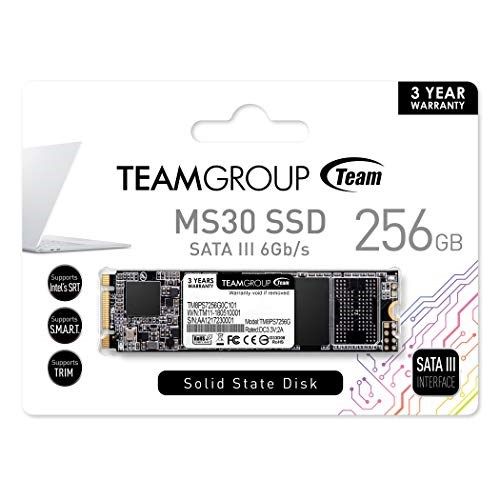 TEAM GROUP TM8PS7256G0C101 SSD MS30 256GB M.2 SATA3 550/470 MB/s_2