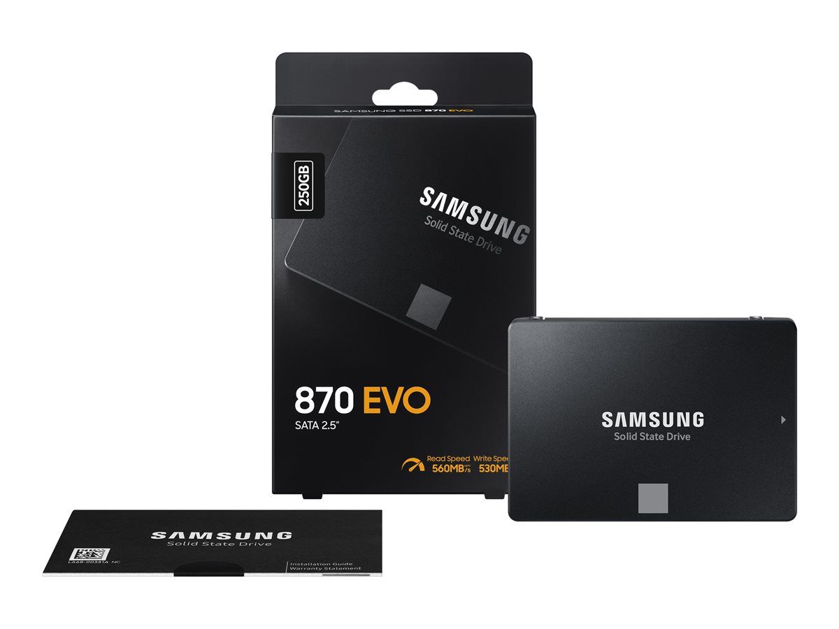 SSD 870 EVO 250GB 2.5inch S-ATA 3_1