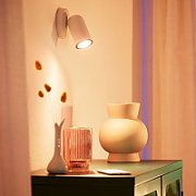 Priza pentru exterior Philips myGarden Rock, impamantare laterala, IP44, 2x module, culoare argintiu, material inox