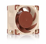 Ventilator Noctua NF-A4X20 PWM ,40 x 40 x 20 mm ,1200 - 5000 RPM ,Maro + bej 