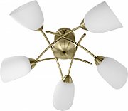 Ceiling light Activejet AJE-NIKITA 5P E27 5x40W Patine