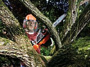 Black & Decker GKC1825L20 Black,Orange