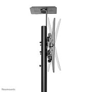 Suport TV de podea, Neomounts by Newstar PLASMA-M1700E, Reglabil, 32 -70 , VESA 600x400, suporta pana la 50kg, negru