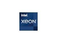 CPU Intel Xeon E-2356G/3.2 GHz/12MB/UP/LGA1200/Tray_1
