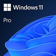 MS SB Windows 11 Pro 64bit [ES] DVD