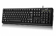 TASTATURA GENIUS USB, 104 taste, black,  Smart KB-100 RO , aranjament romana (diacritice),  31300005418   (include TV 0.8lei)