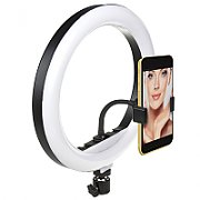 Maclean MCE610 10  12W LED Ring Light with Tripod Stand and Bluetooth Shutter 3 Colours 10 brightness levels 10% -100% Adjustable brightness 160 LED Smartphone Holder lighting light