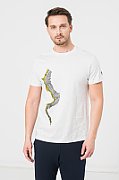 TRICOU CASUAL DRACON BARBATI LIGHT GRAY-XXL