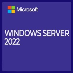 MS Windows Server CAL 2022 5 Clt USER CAL OEM PL