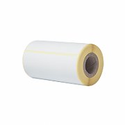 BROTHER Direct thermal label roll 102X152mm 85 labels/roll 20 rolls/carton