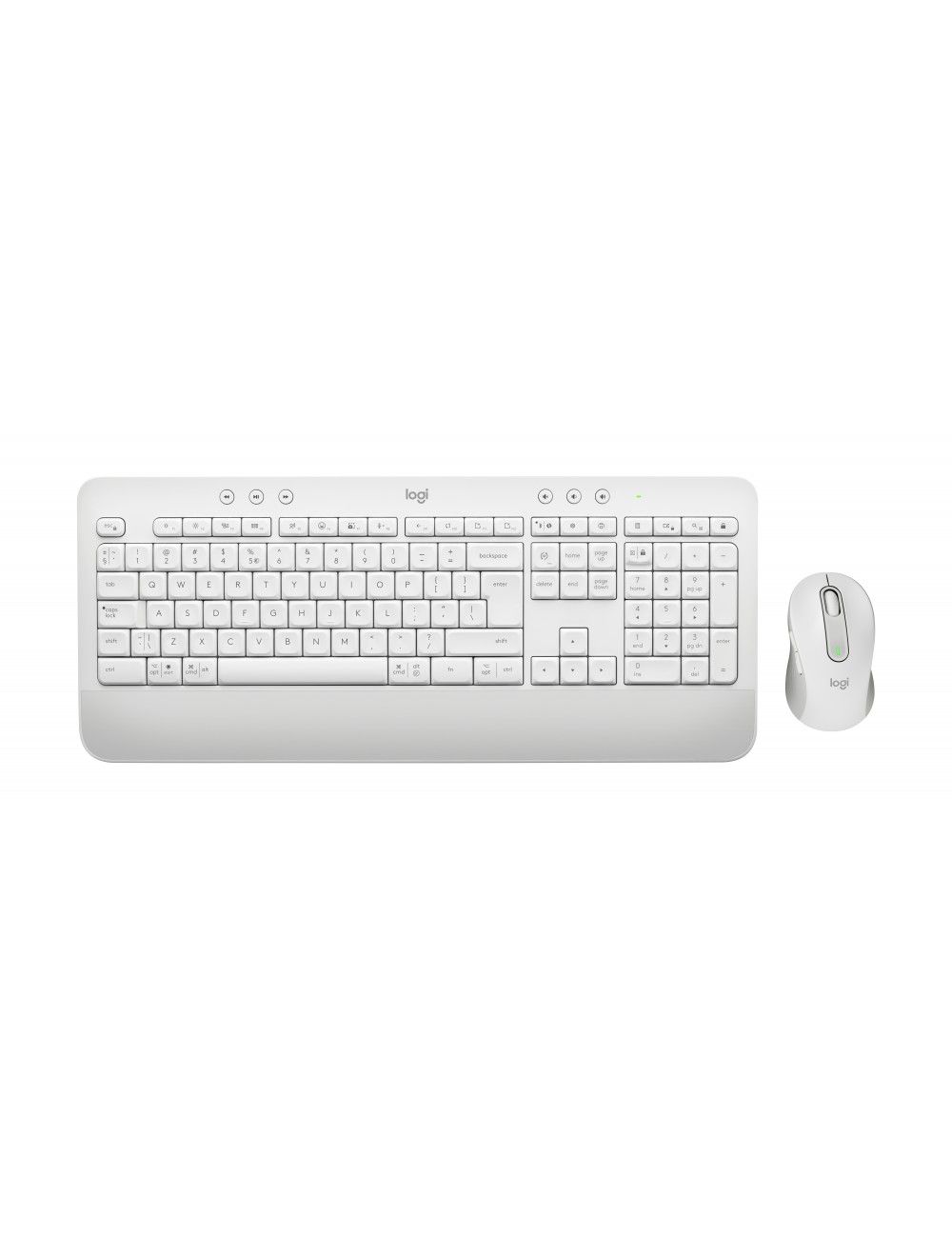Logitech Desktop MK650 Signature [DE] BOLT white BT Mouse: Signature M650 for Busi. (400–4000 DPI)