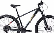 Bicicleta MTB Pegas DRUMET PRO M 29'' GRI CARBON
