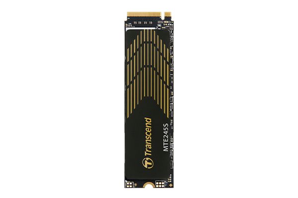 TRANSCEND 250GB M.2 2280 PCIe Gen4x4 NVMe 3D TLC DRAM-less_1