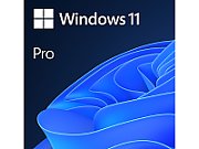 Licenta Microsoft Windows 11 Pro 64-bit ENG INTL, 1PK, DSP OEI DVD