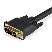 1FT DVI-D VIDEO SPLITTER CABLE/.