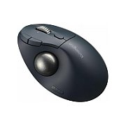 TRACKBALL PRO FIT ERGO TB550/PROFIT ERGO TB550 TRACKBALL UN