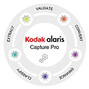 RENEWAL CAPTURE PRO GR.DX 3 J/.