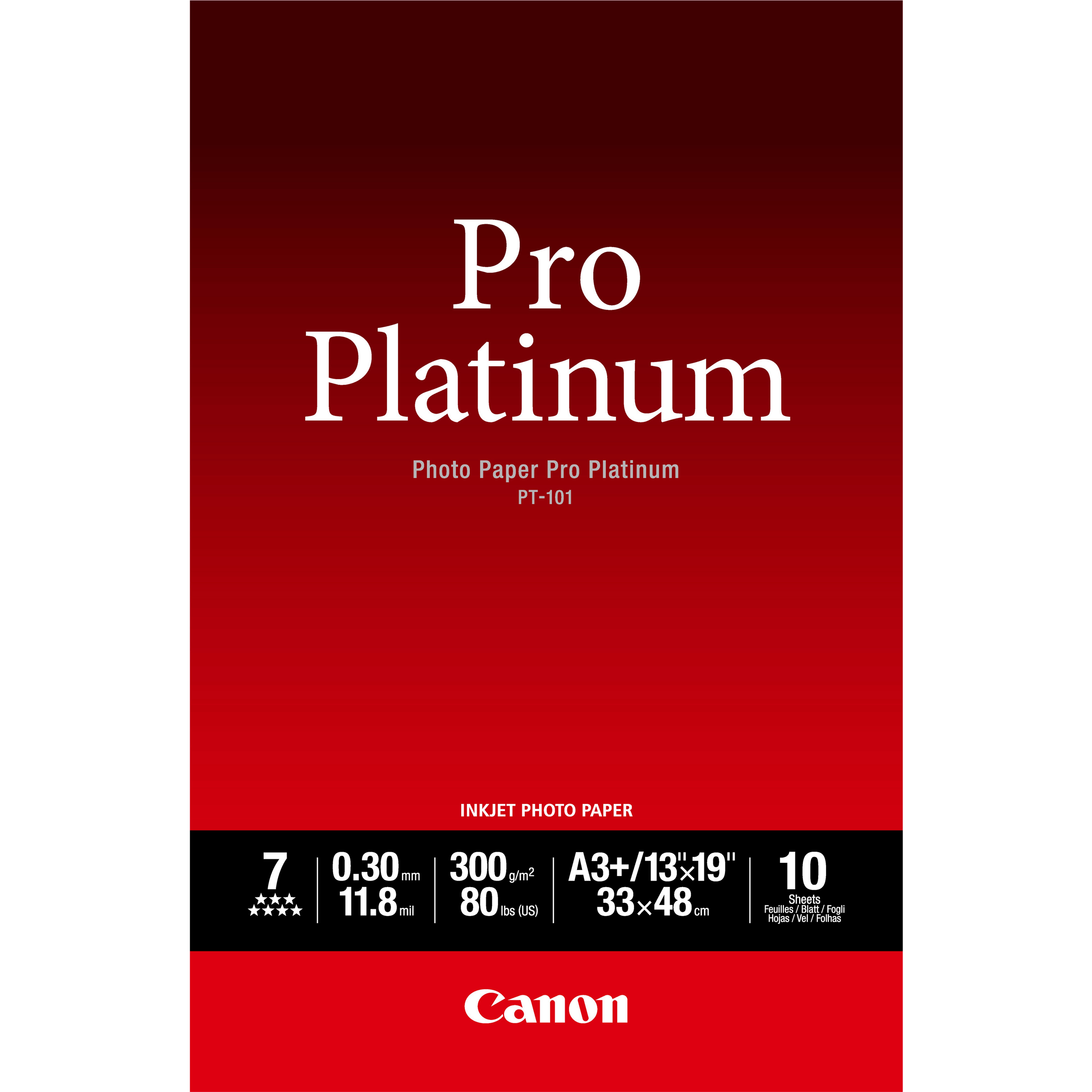PHOTO PAPER PRO PLATINUM/PT-101 A3+ 10SH