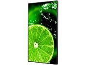 Display 86  NEC MultiSync® E868, UHD, IPS with Direct LED backlights, 400 cd/m², 18/7, media player