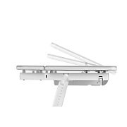 Ergo Office children ergonomic height adjustable desk  grey  max 100kg  ER-417 2cz