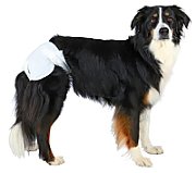 TRIXIE - Nappies for Dogs - XS-S
