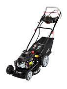 NAC LAWN MOWER WAS ASLEEP. DRIVETRAIN 146cc LS46-146-HS-ES-NG ELECTRIC STARTER