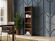 Topeshop R50 ANT/ART office bookcase