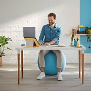Leitz Ergo Cosy Seat Ball grey