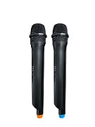 Lautsprecher mit Bluetooth und Karaoke Partybox Blaupunkt PB10DB