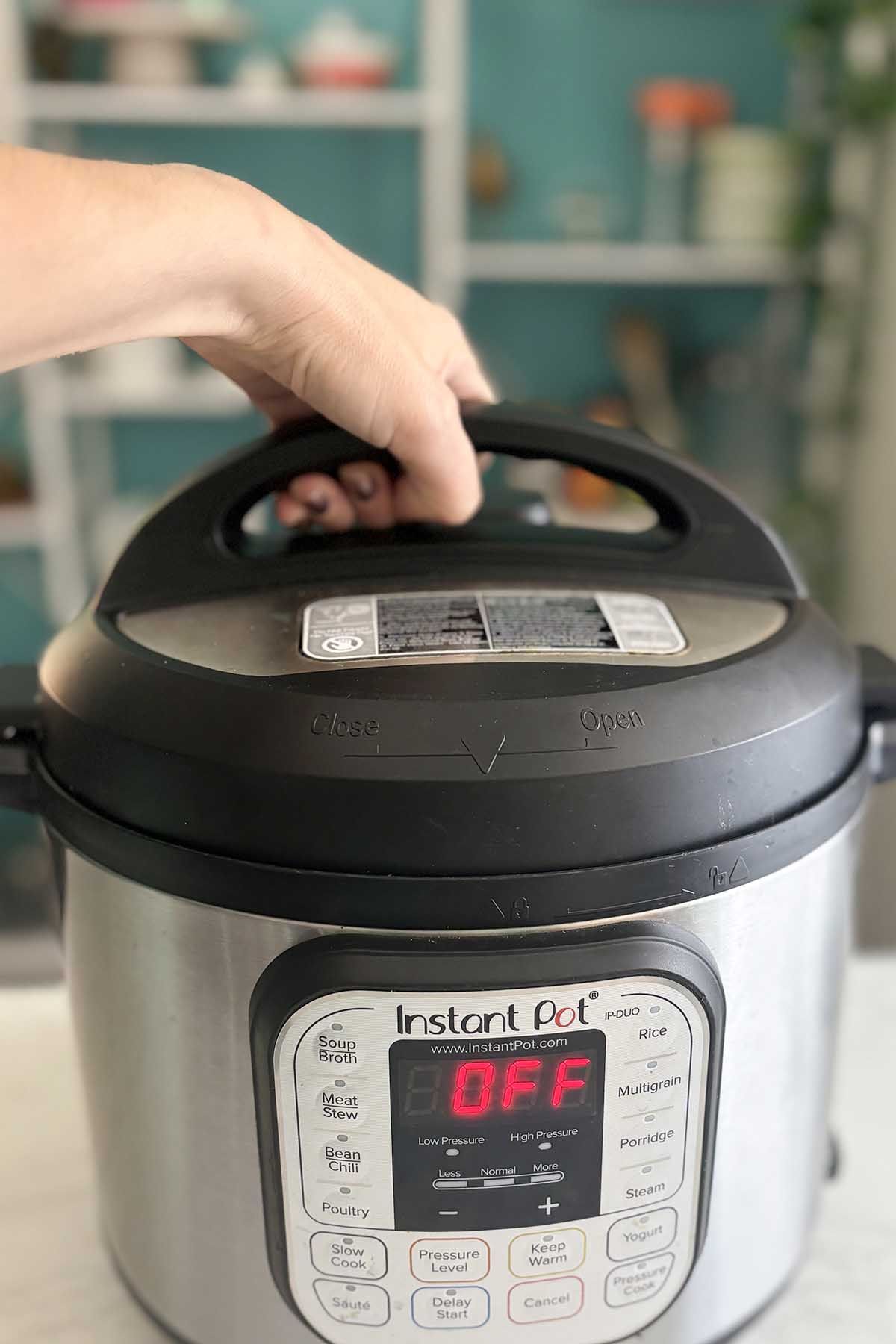 INSTANT POT DUO 8, MULTICOOKER