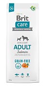 BRIT Care Adult Salmon - dry dog food - 12 kg