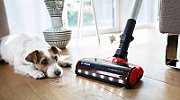 Bosch BCS711PET stick vacuum/electric broom Battery Dry Bagless 0.3 L Black  Red 3 Ah