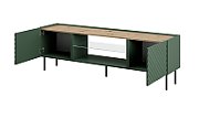 RTV cabinet with an electric fireplace ONDA 180 5x40xH58 39 green (standing or wall mounted)