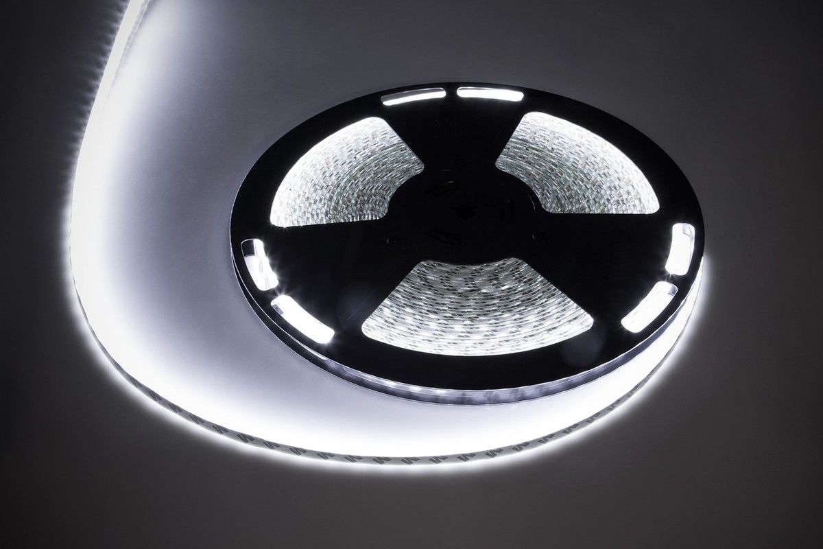 Diode cord 25m Rebel (1500x5050 SMD) cool white waterproof  12V