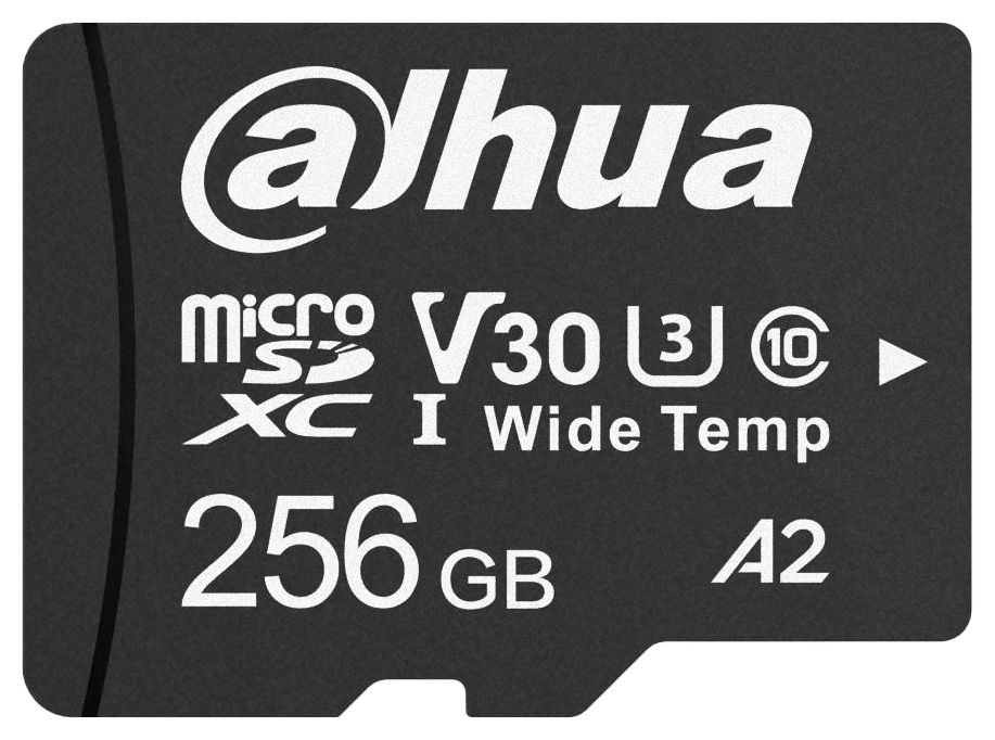256GB Memory Card DAHUA TF-W100-256GB