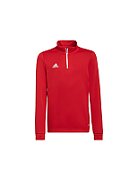 Sweatshirt for kids adidas Entrada 22 Tr Top red H57550 140cm