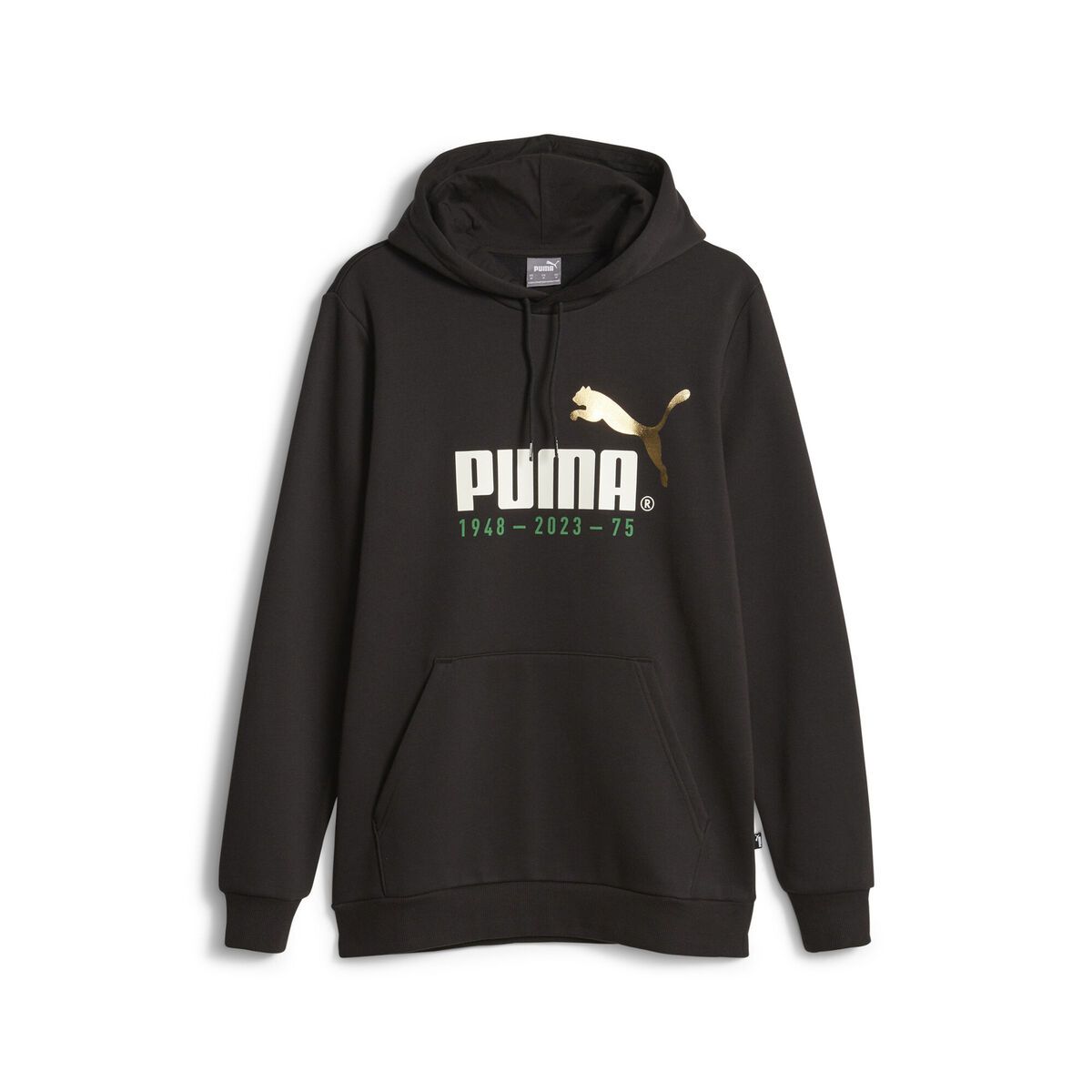 Puma Men's RTG FZ Hoodie black 585832 01