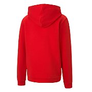Puma teamGOAL 23 Casuals Hoody Jr Sweatshirt Red 656711 01 164