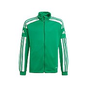 adidas Squadra 21 Training Youth Sweatshirt green GP6456 176cm