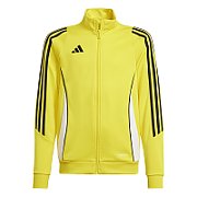Sweatshirt for kids adidas Tiro 24 Training yellow IR9507 116cm