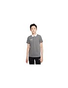 Nike DF Park 20 Polo SS T-Shirt Grey CW6935 071 XL