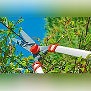 WOLF GARTEN TELESCOPIC HEDGE TRIMMER HS 1000 T