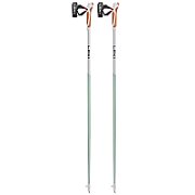 LEKI KIJE Nordic Walking Passion green 110