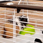 FERPLAST Casita 80 - Cage