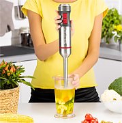 Zelmer ZHB4652 VARIO 0.5 L Immersion blender 1400 W Grey  Silver