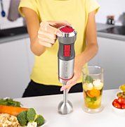 Zelmer ZHB4652 VARIO 0.5 L Immersion blender 1400 W Grey  Silver