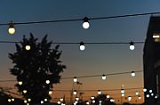 Twinkly Festoon string light