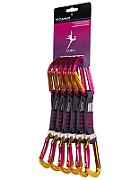 Session coffee machine set 12 cm 6-pack WILD COUNTRY